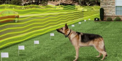 faire comprendre limite invisible au chien collier anti fugue