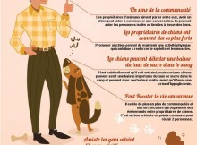 infographie des bienfaits pour la santé qu'apporte un chien