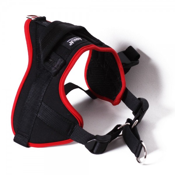 Harnais pour chien Top des meilleures produits Harnais pour chien Top des meilleures produits