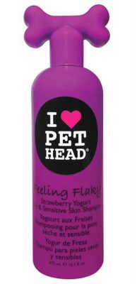 Shampooing Pet Head Chien
