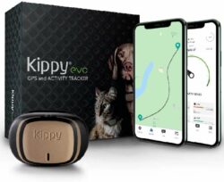 KIPPY - Evo - Le Nouveau Collier GPS