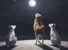 chien aboiements nuit lune